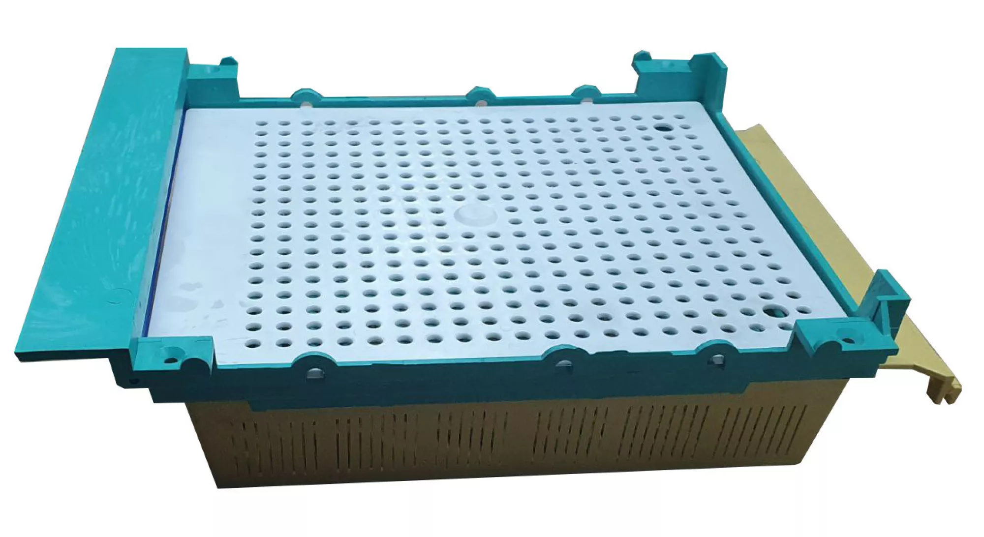 Пыльцесборник Донний