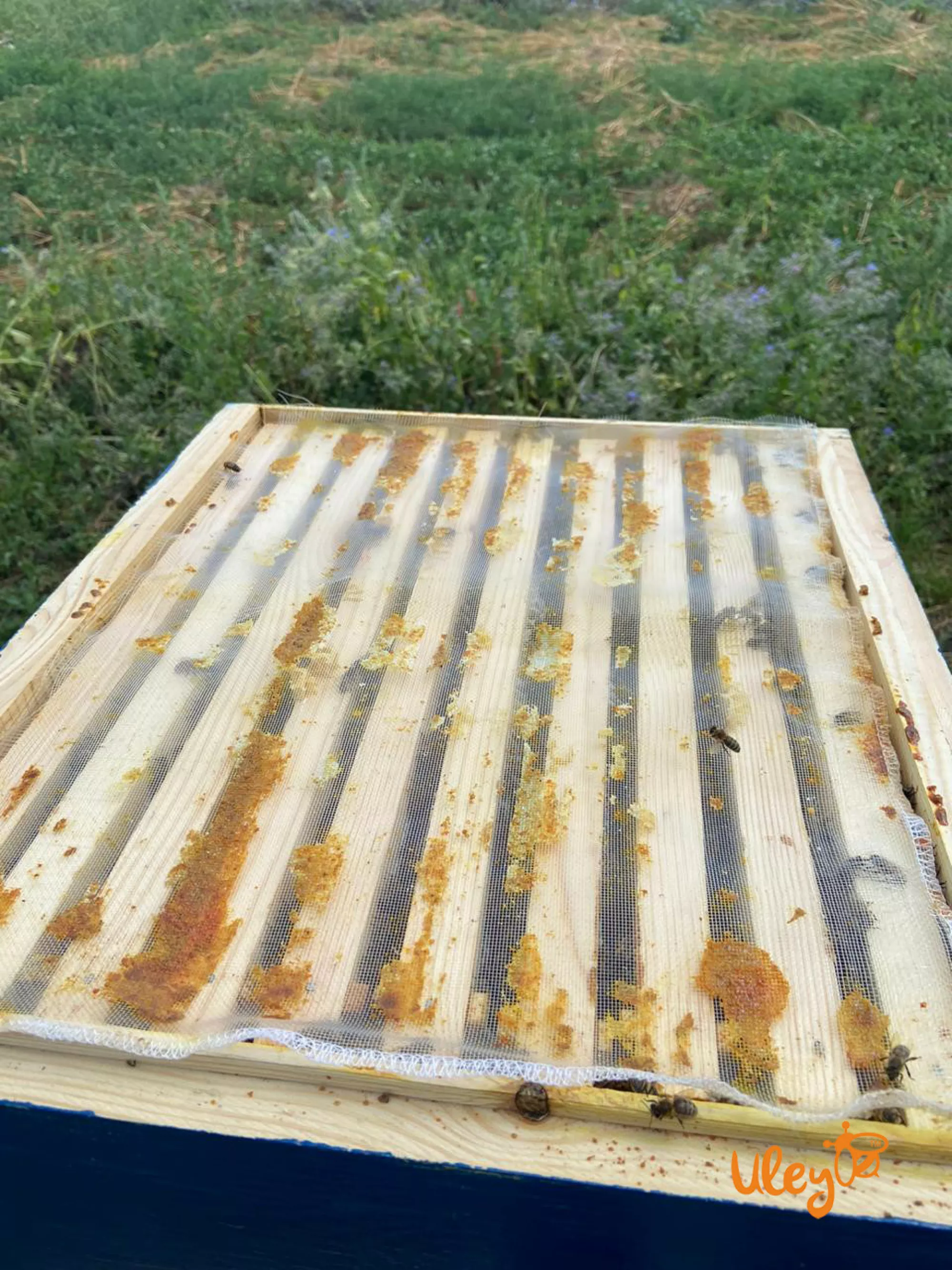 Сітка для збору прополісу 390х330 мм