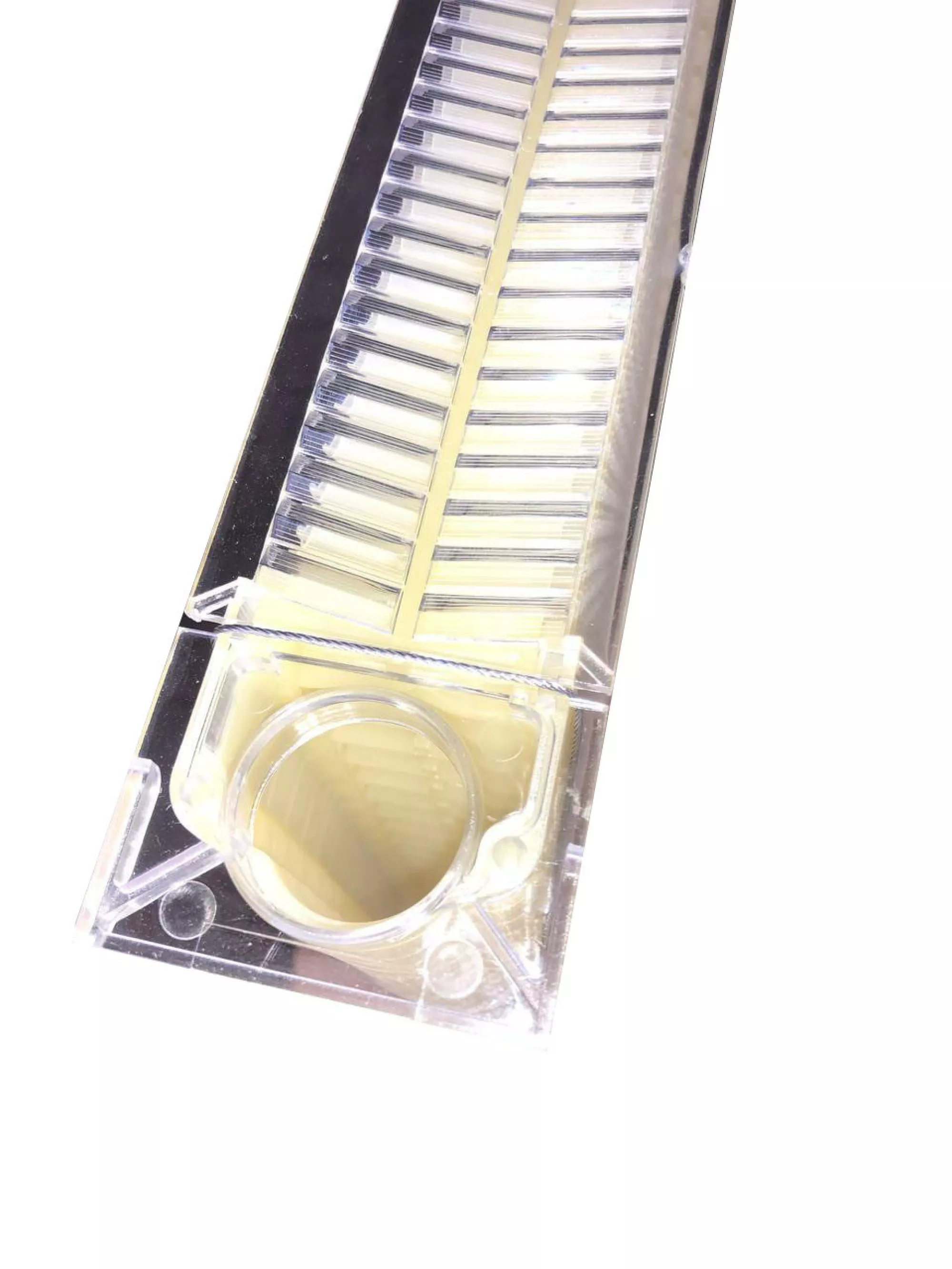 Рамка для Автоматичного вулика