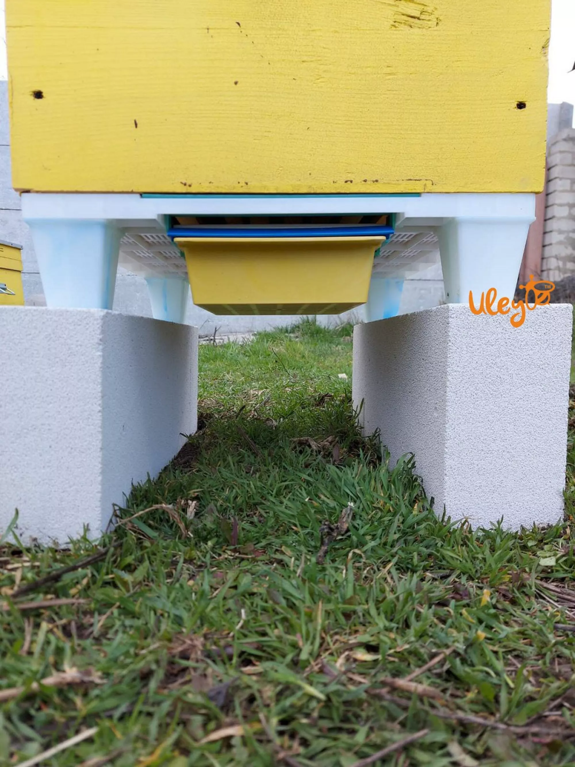 Пластикове Дно, сітчасте з пыльцесборником, на 10-ти рамковий вулик