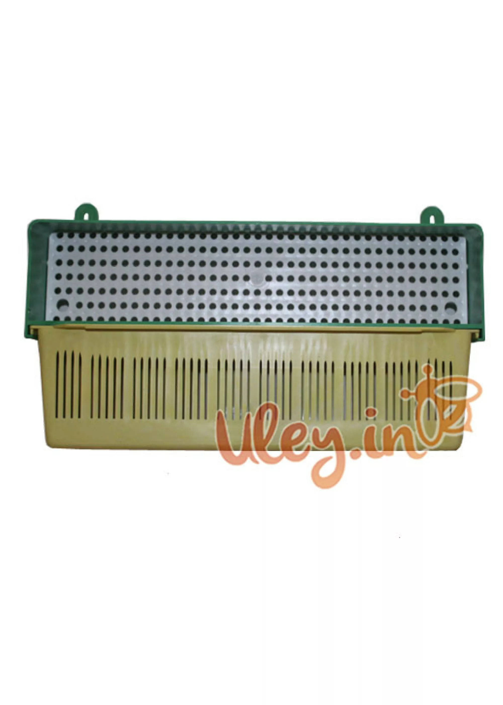 Пыльцесборник 5 Б+