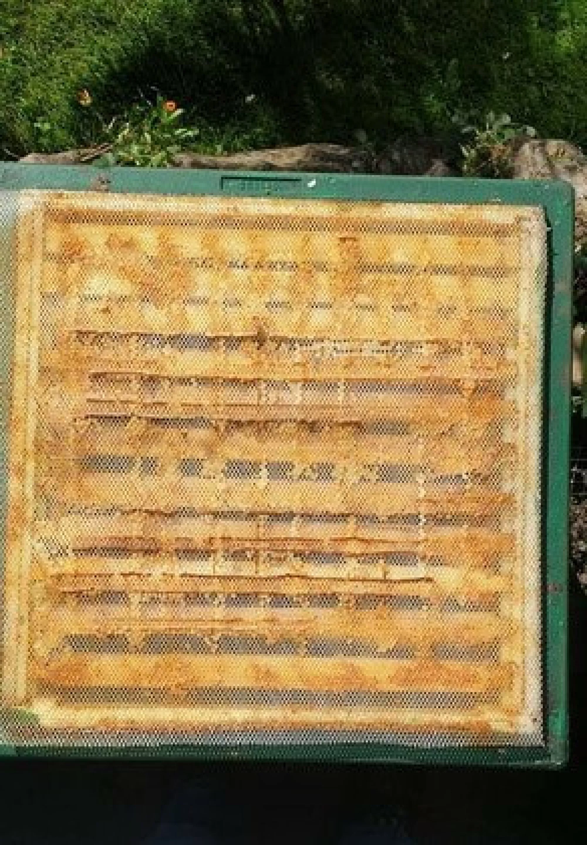 Сітка для збору прополісу "StanzPress" - 475х385 мм