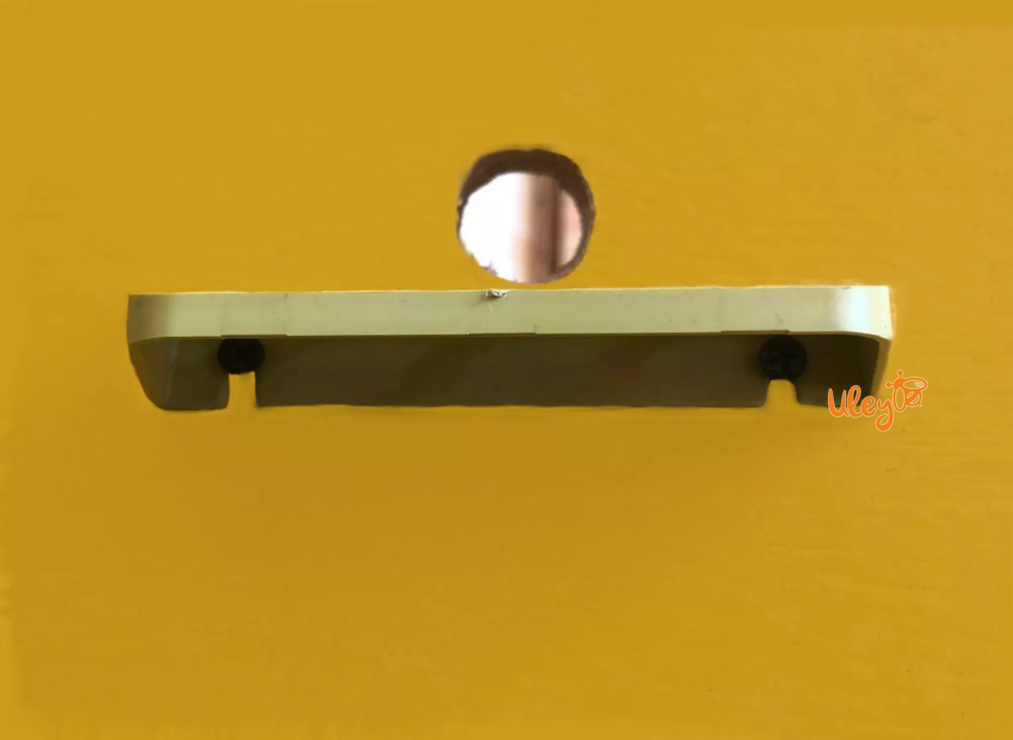 Дошка прилетная сітчаста мала