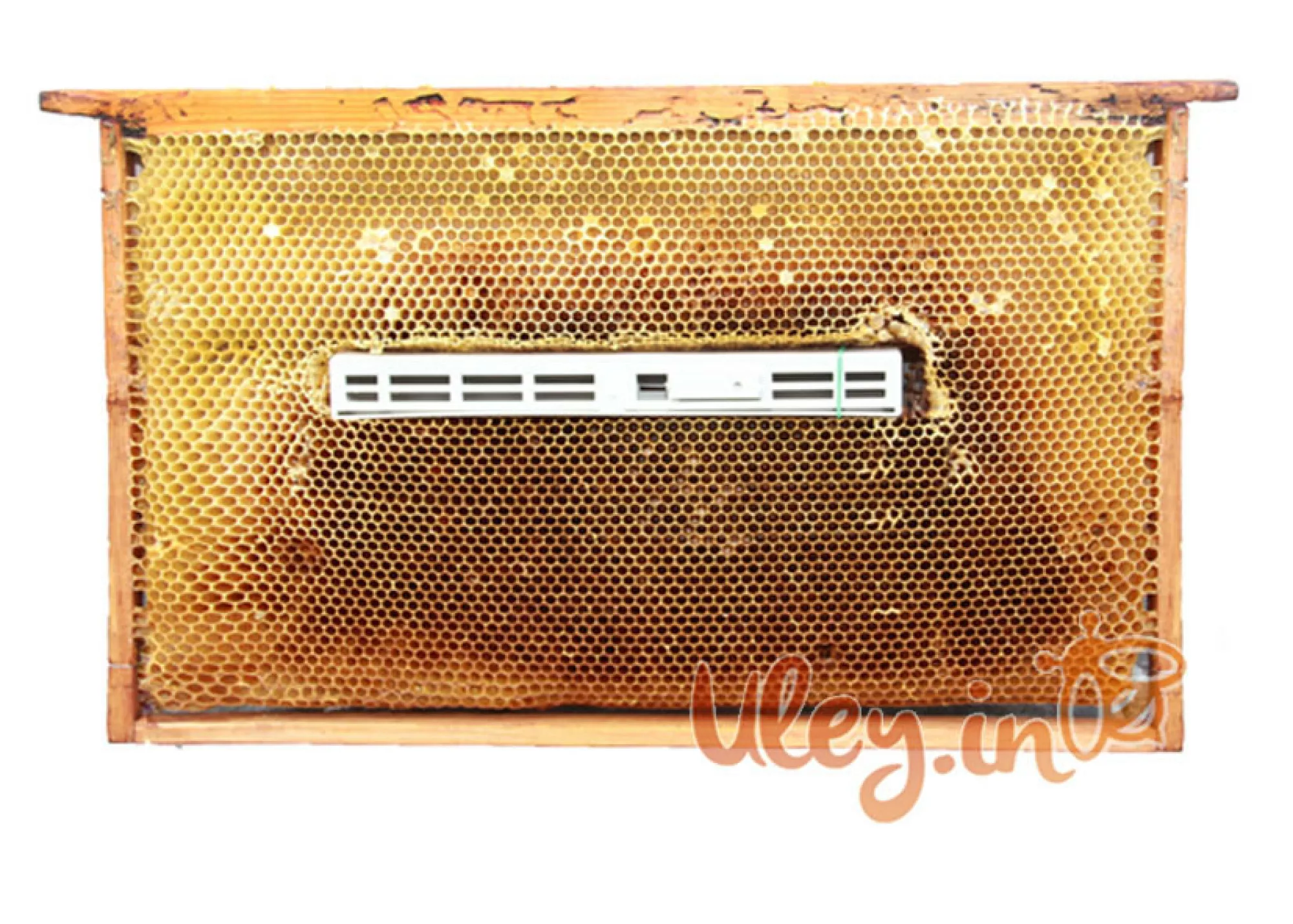 Ізолятор «Міленіна» Матковий