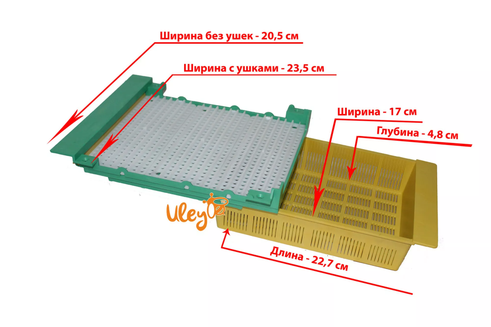 Пыльцесборник Донний