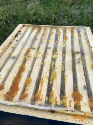 Сітка для збору прополісу 390х330 мм