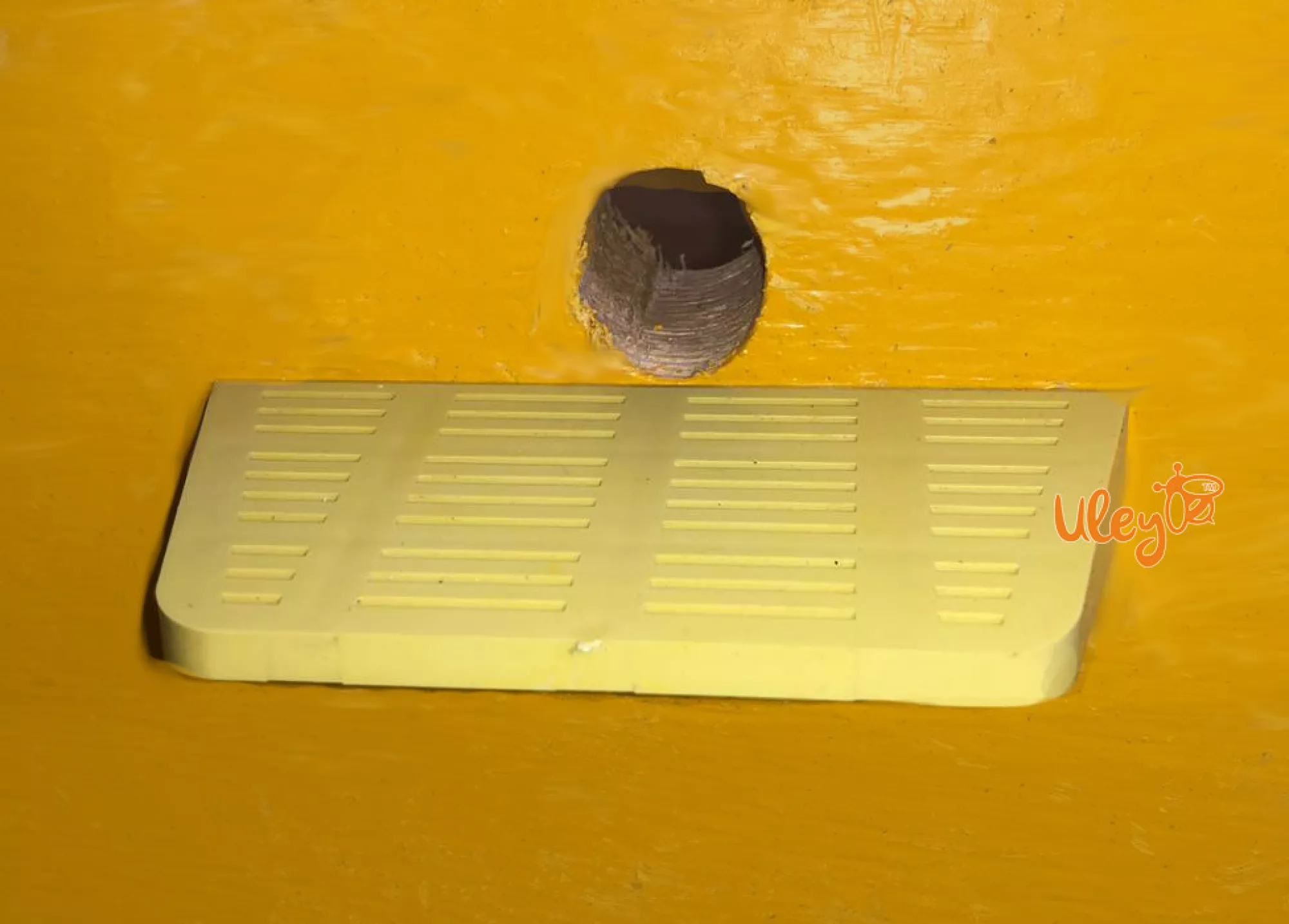 Дошка прилетная сітчаста мала