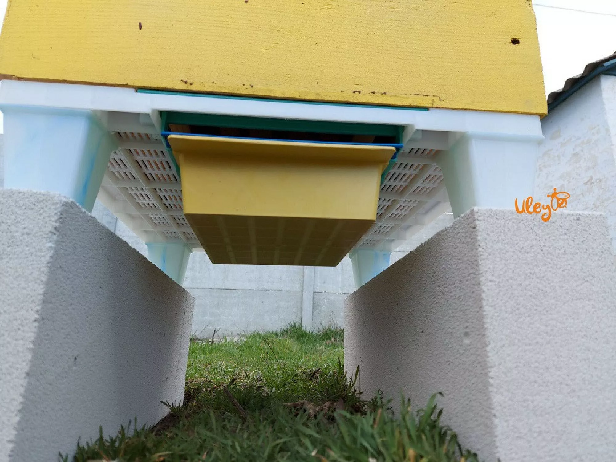 Пластикове Дно, сітчасте з пыльцесборником, на 10-ти рамковий вулик