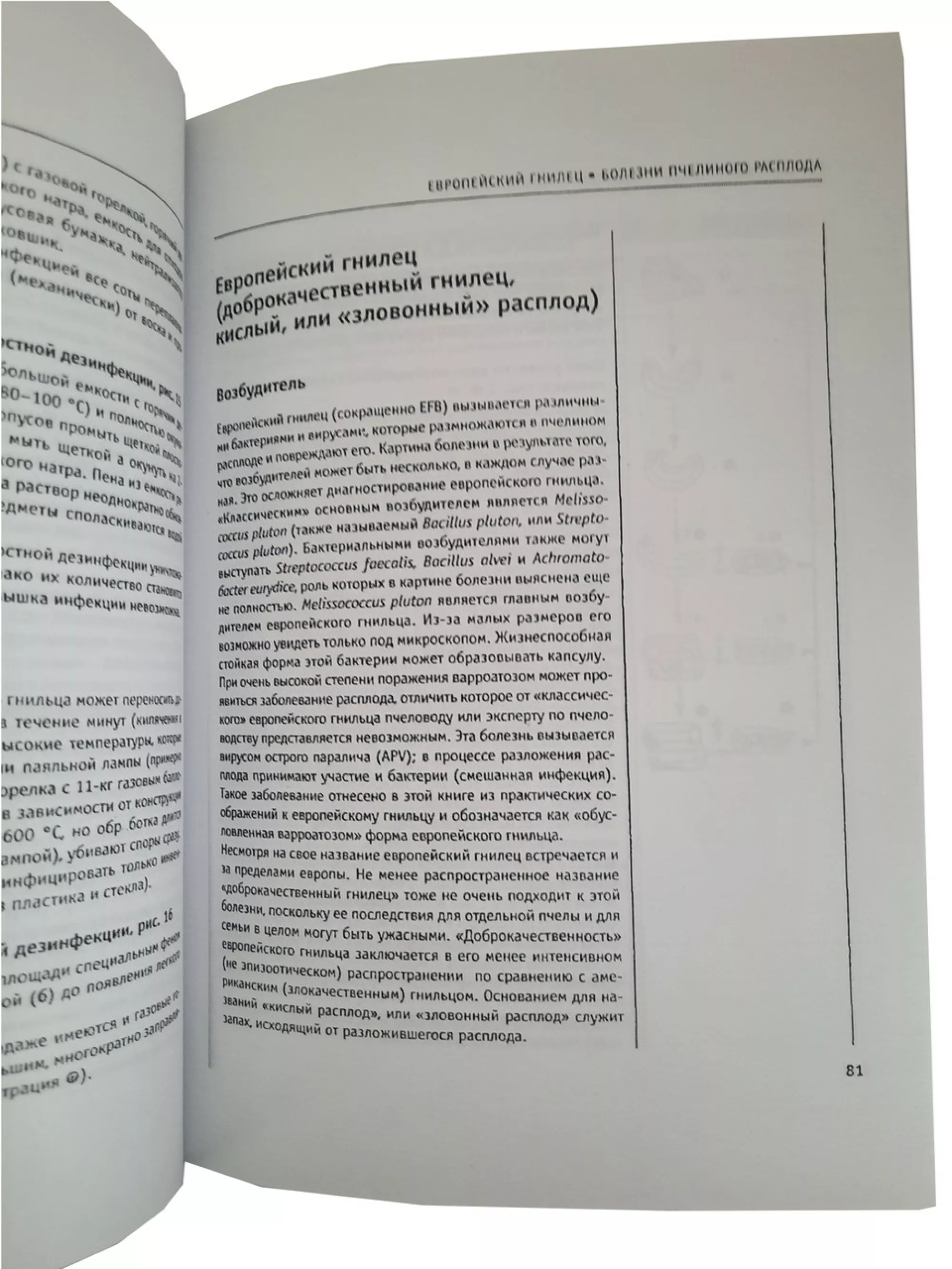 Книга “Хвороби бджіл” Фрідріх Поль