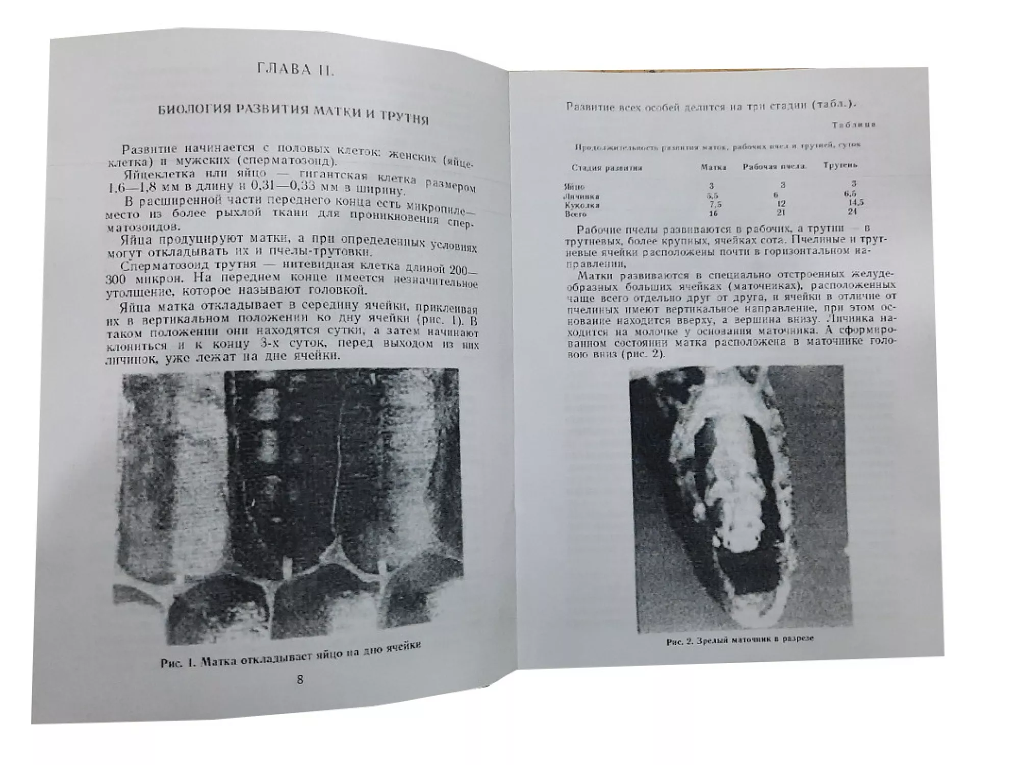 Книга "Виведення бджолиних маток (Практичний посібник)" Малков В.В., Мартинов А.Г., Назін С.М.