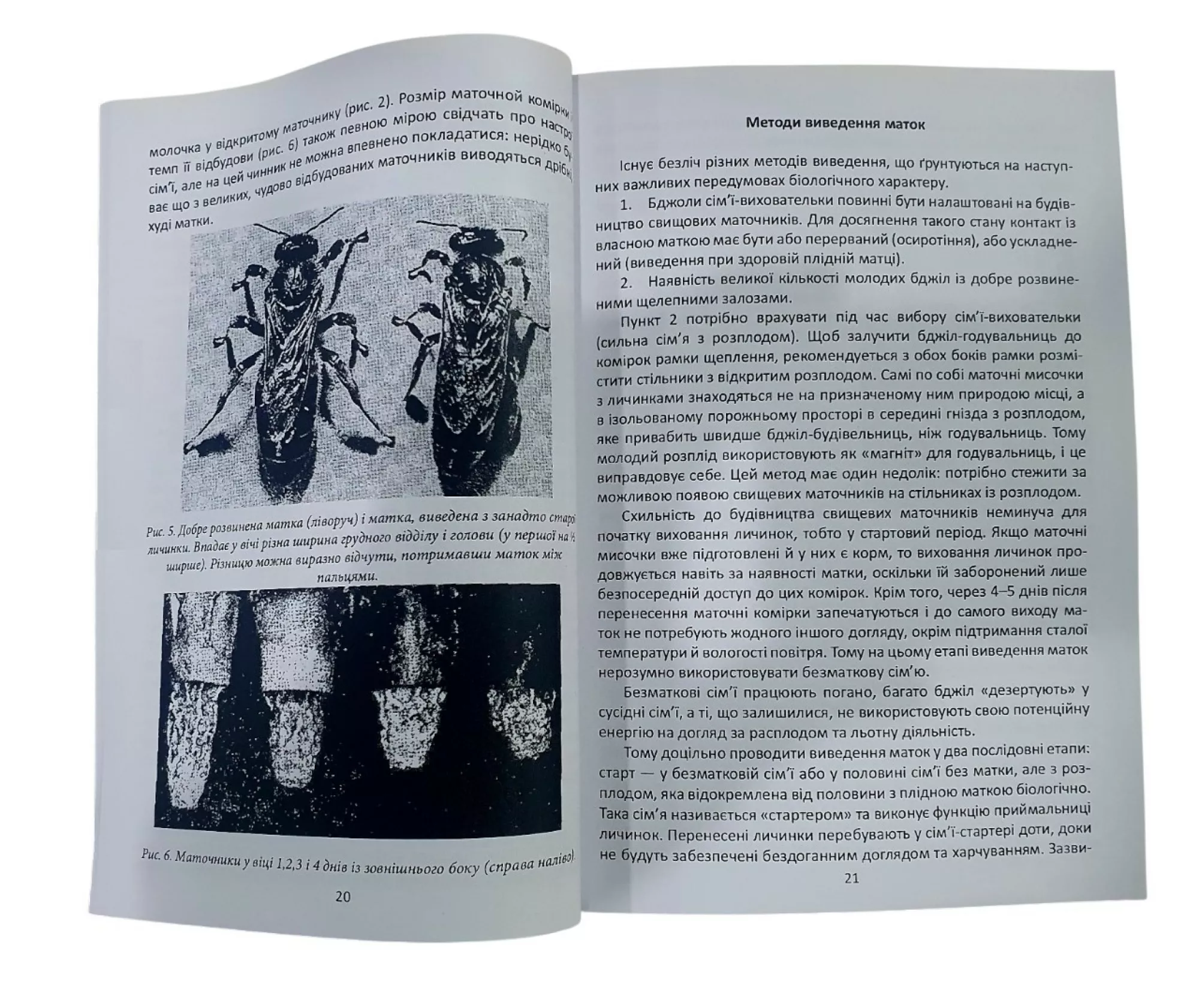 Книга “Техніка розведення та селекційний відбір бджіл” Ф. Руттнер