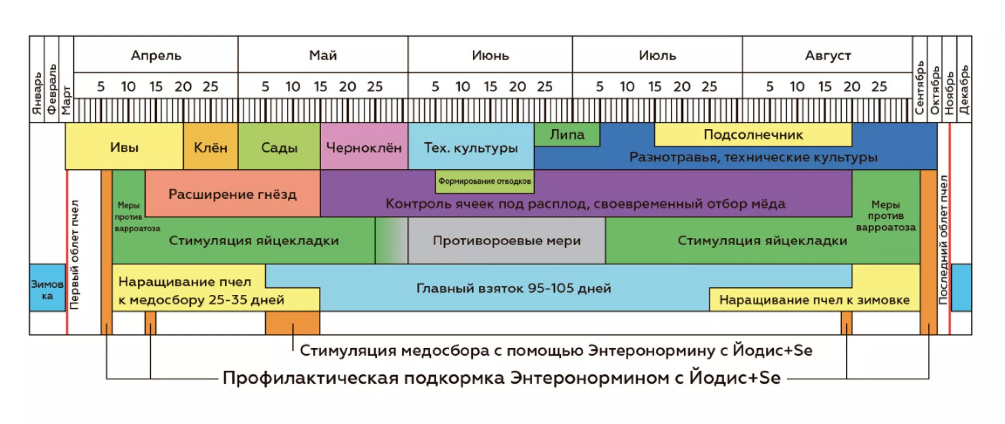 Ентеронормін з водним розчином Йодіс+Se (50 доз) 200г + 1000мл