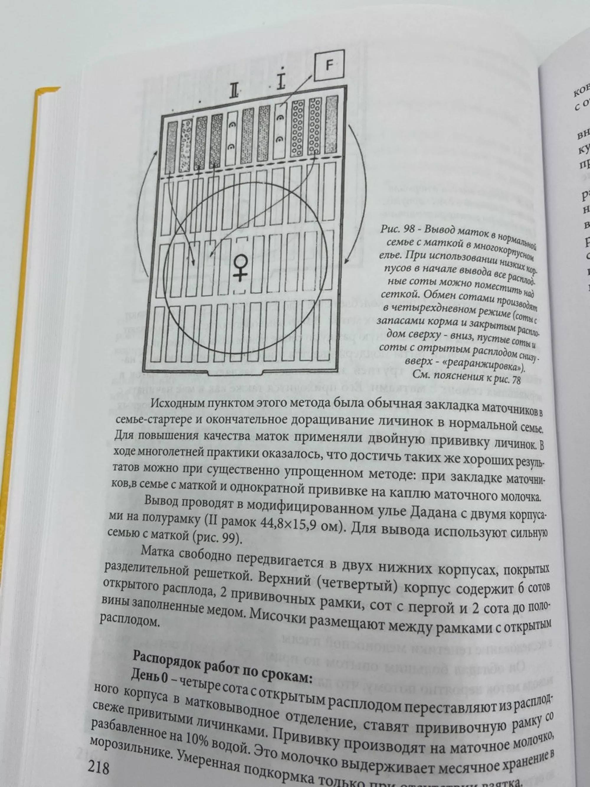 Книга Матководство, Ф. Руттнер, 1982 рік. (в твердій палітурці)