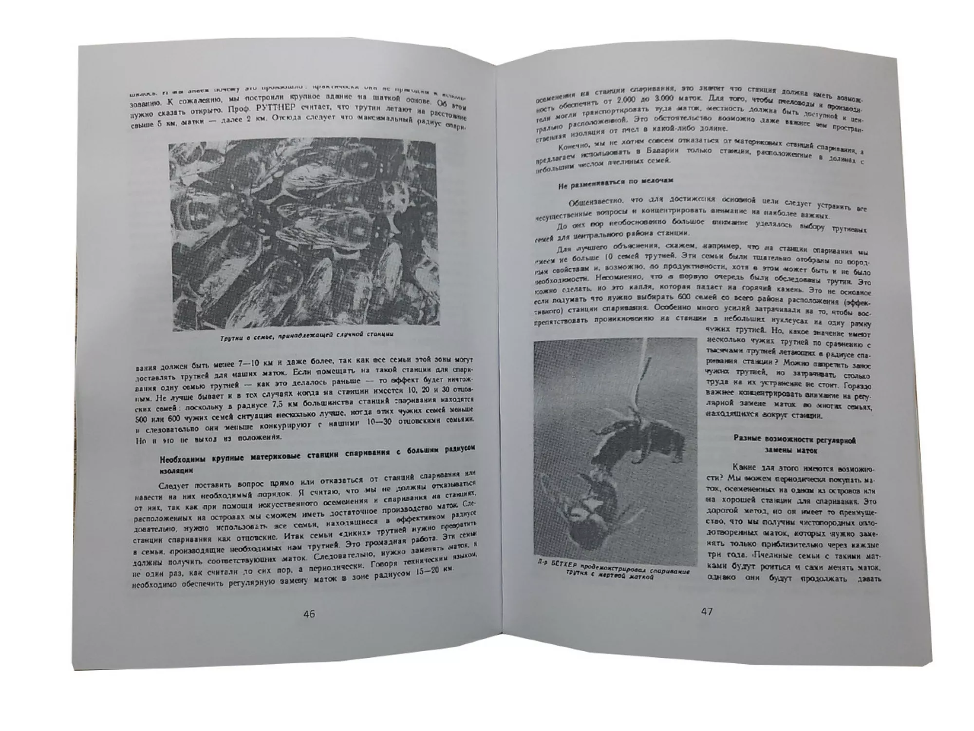 Книга "Контроль спарювання та селекція медоносної бджоли" Ф. Руттнер