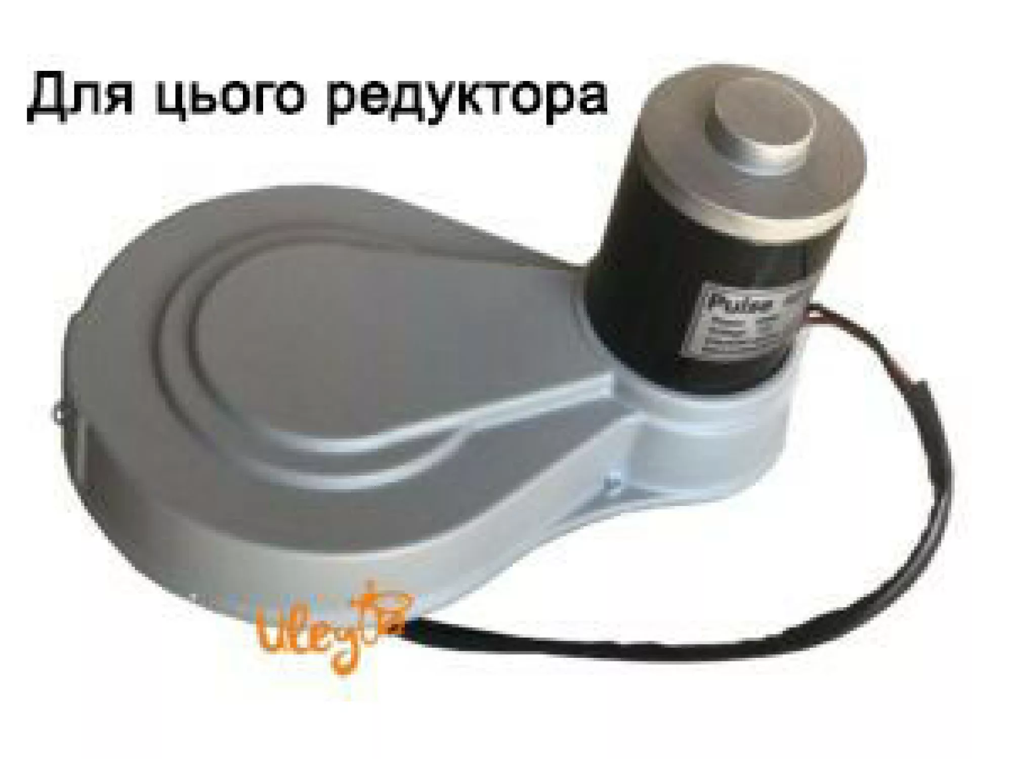 Ремінь для Електроприводу Pulse