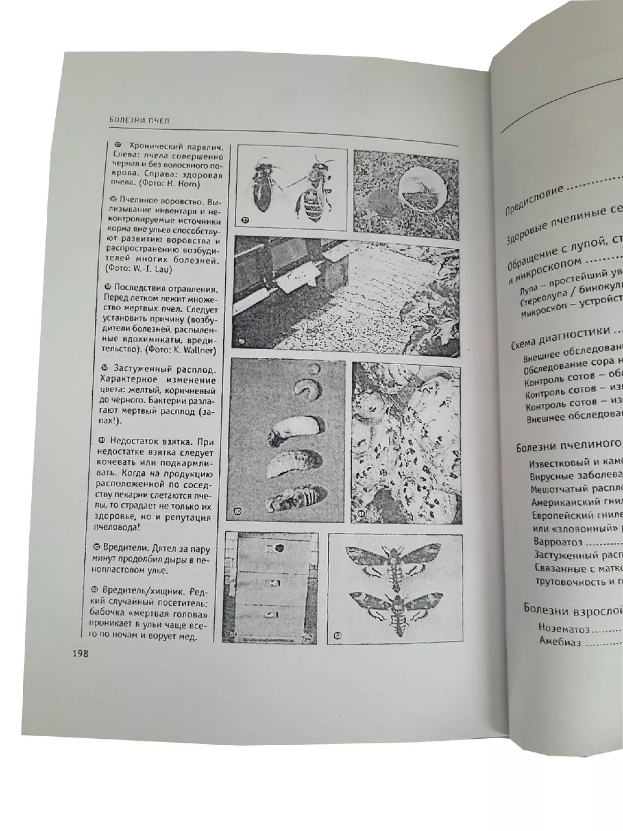 Книга “Хвороби бджіл” Фрідріх Поль