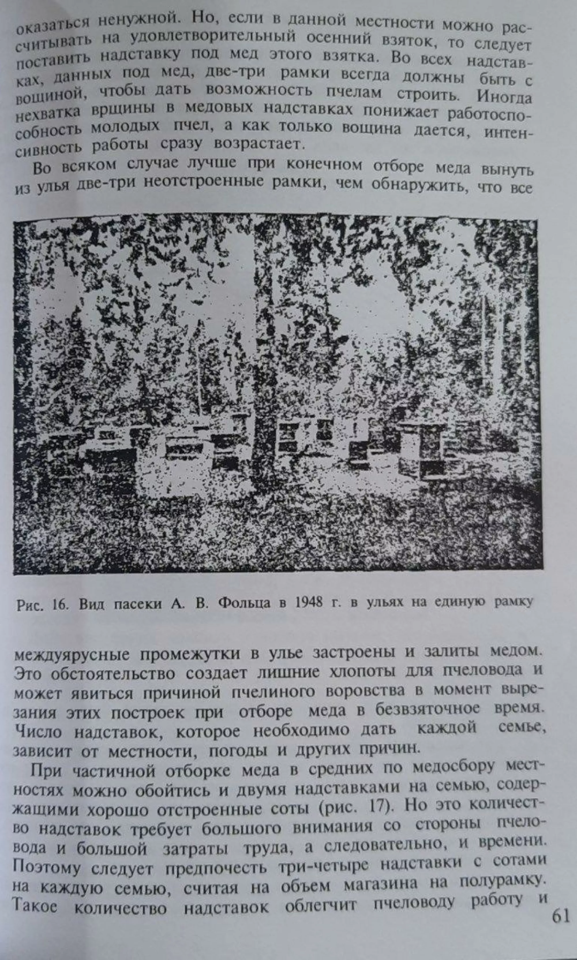 Книга "Прибуткова пасіка" Фольц О.В.