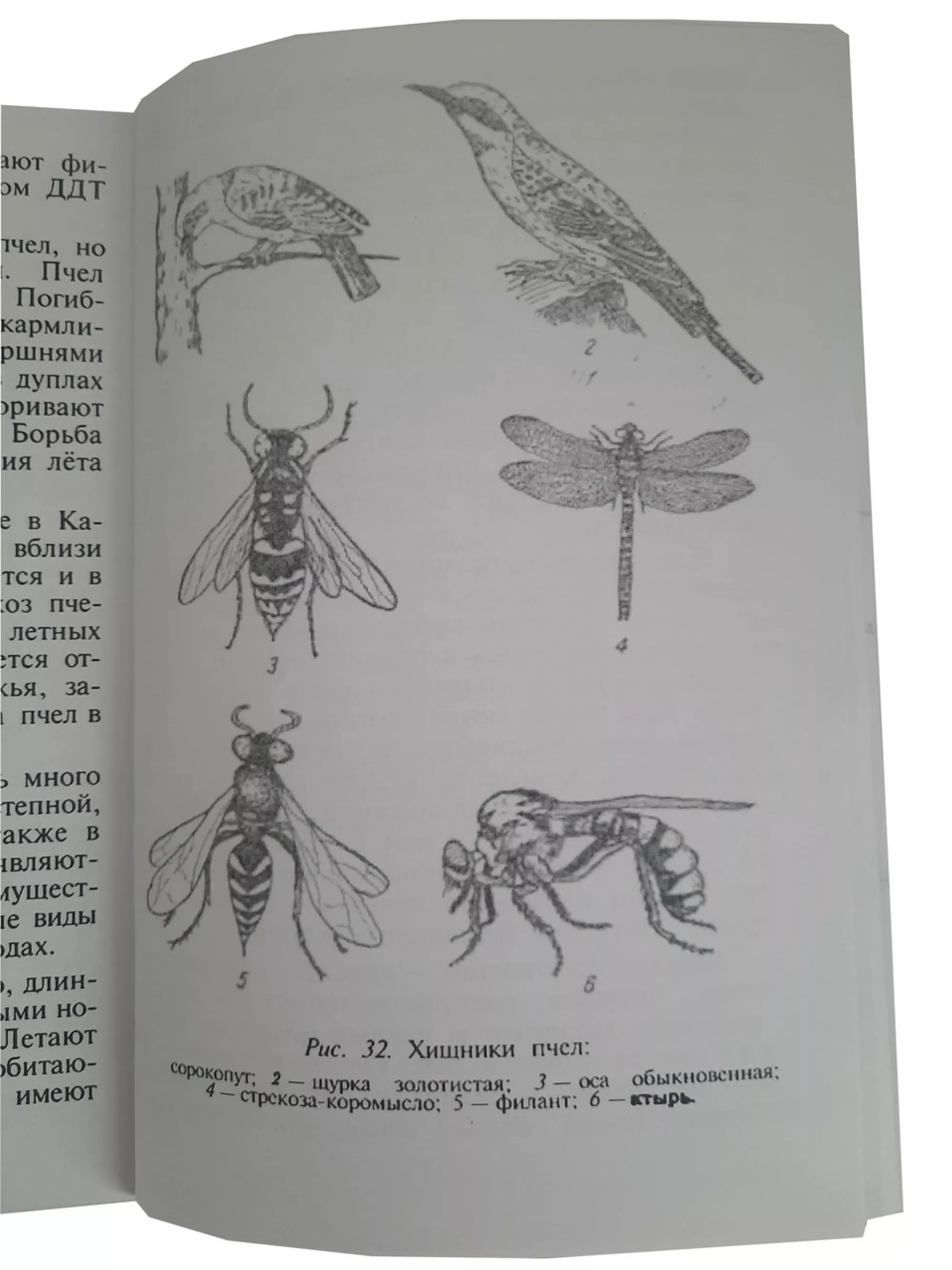 Книга "Довідник бджоляра" Міньков С.Г., Плотніков І.С.