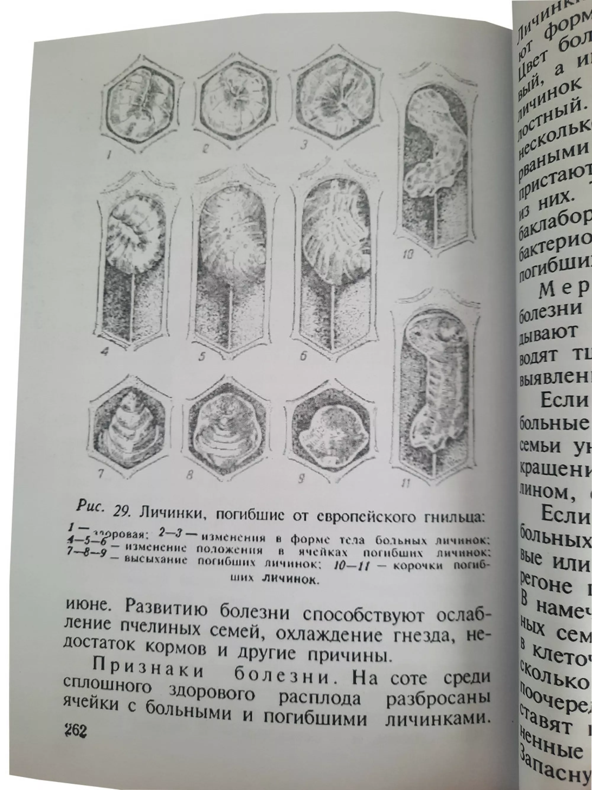 Книга "Довідник бджоляра" Міньков С.Г., Плотніков І.С.