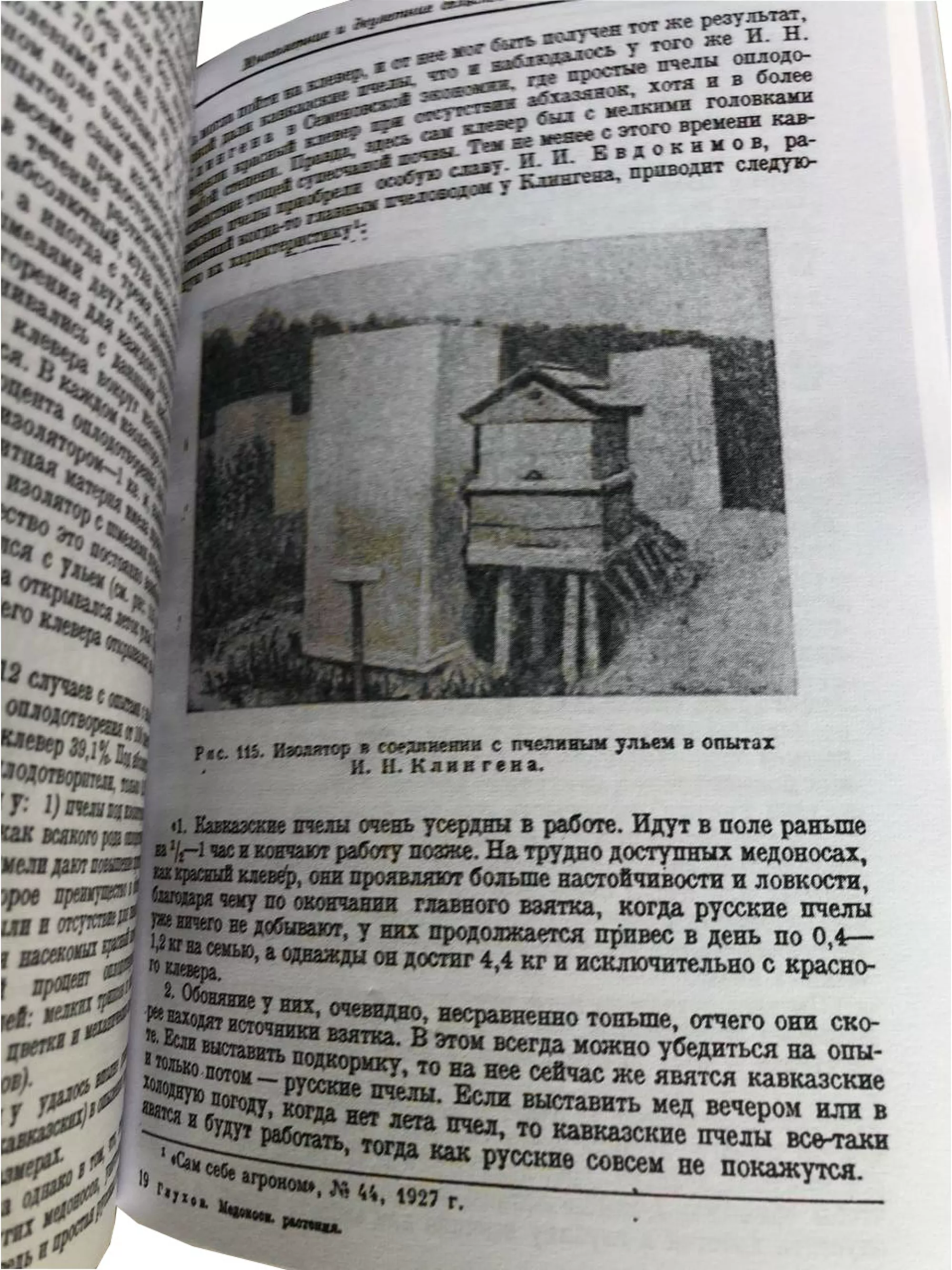 Книга “Найважливіші медоносні рослини та способи їх розведення” Глухов М.М.