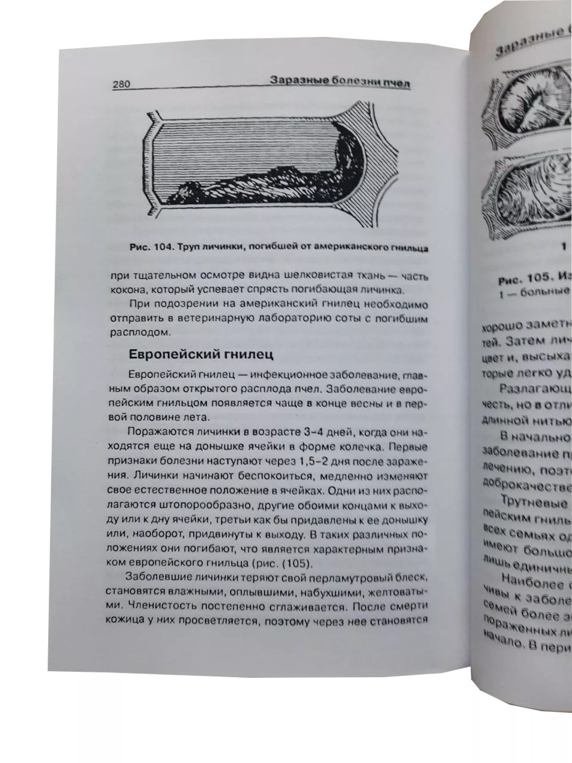 Книга "Настільна книга бджоляра" Бондарєва О.Б.