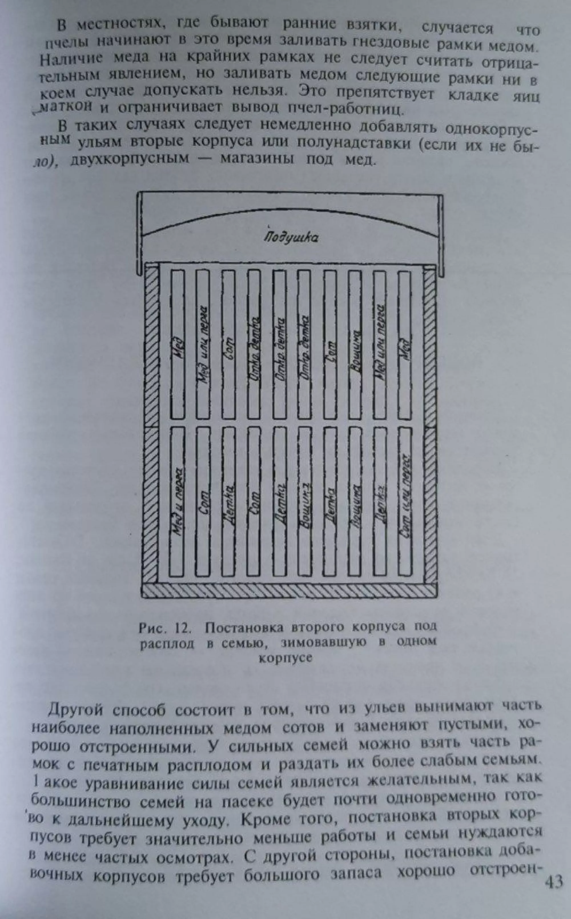 Книга "Прибуткова пасіка" Фольц О.В.