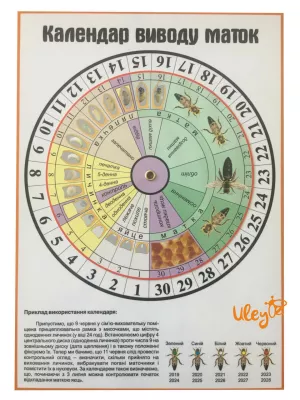 Календар виведення маток