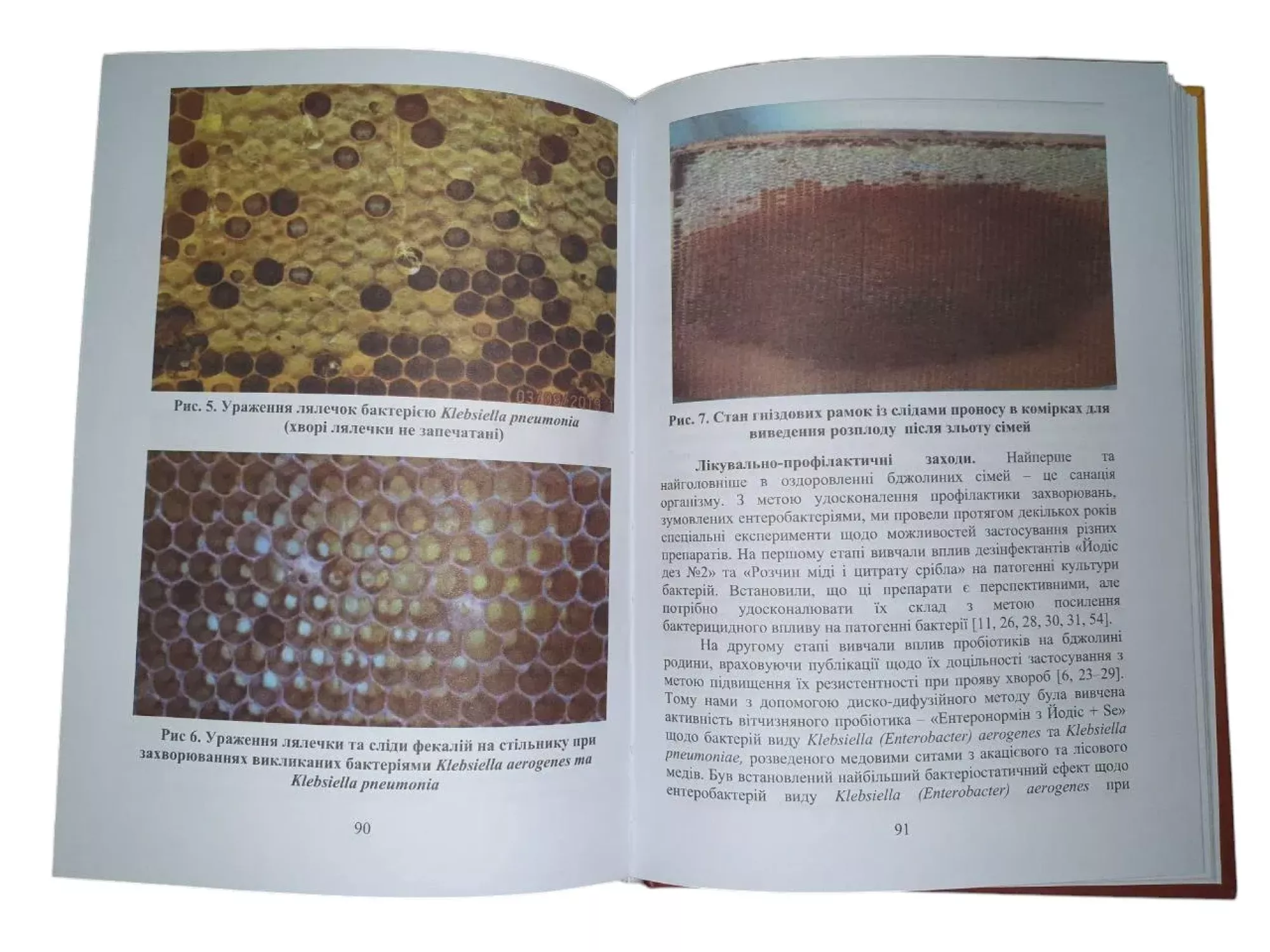 Книга «Інновації у бджільництві з профілактики хвороб»