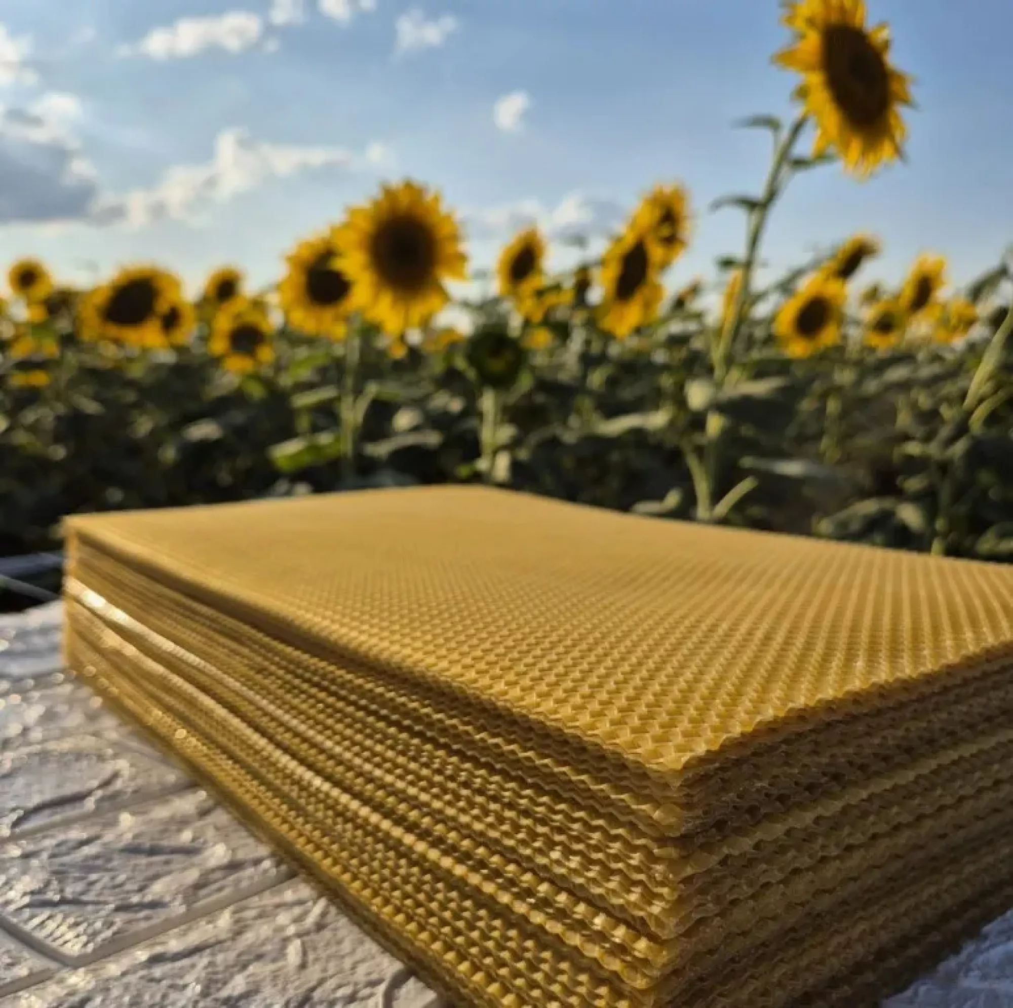 Вощина “Долина меду” (на всі типи рамок (Дадан, Рута, магазинна, Трутнева)