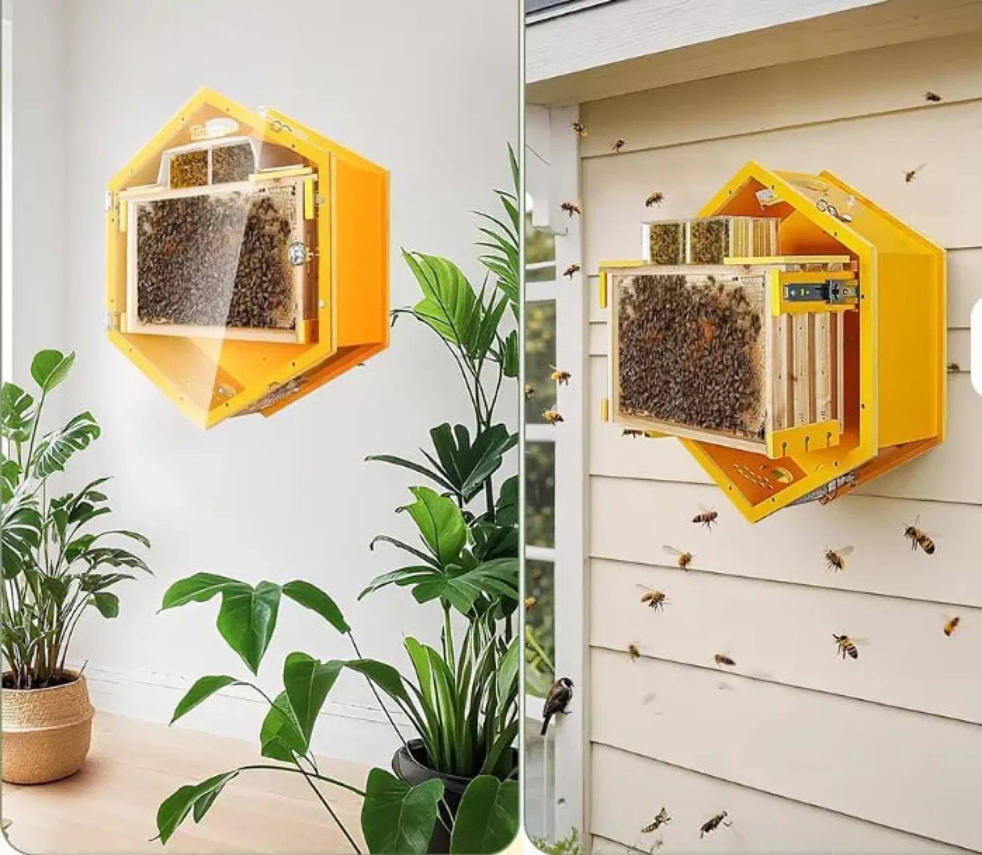 Домашній оглядовий вулик