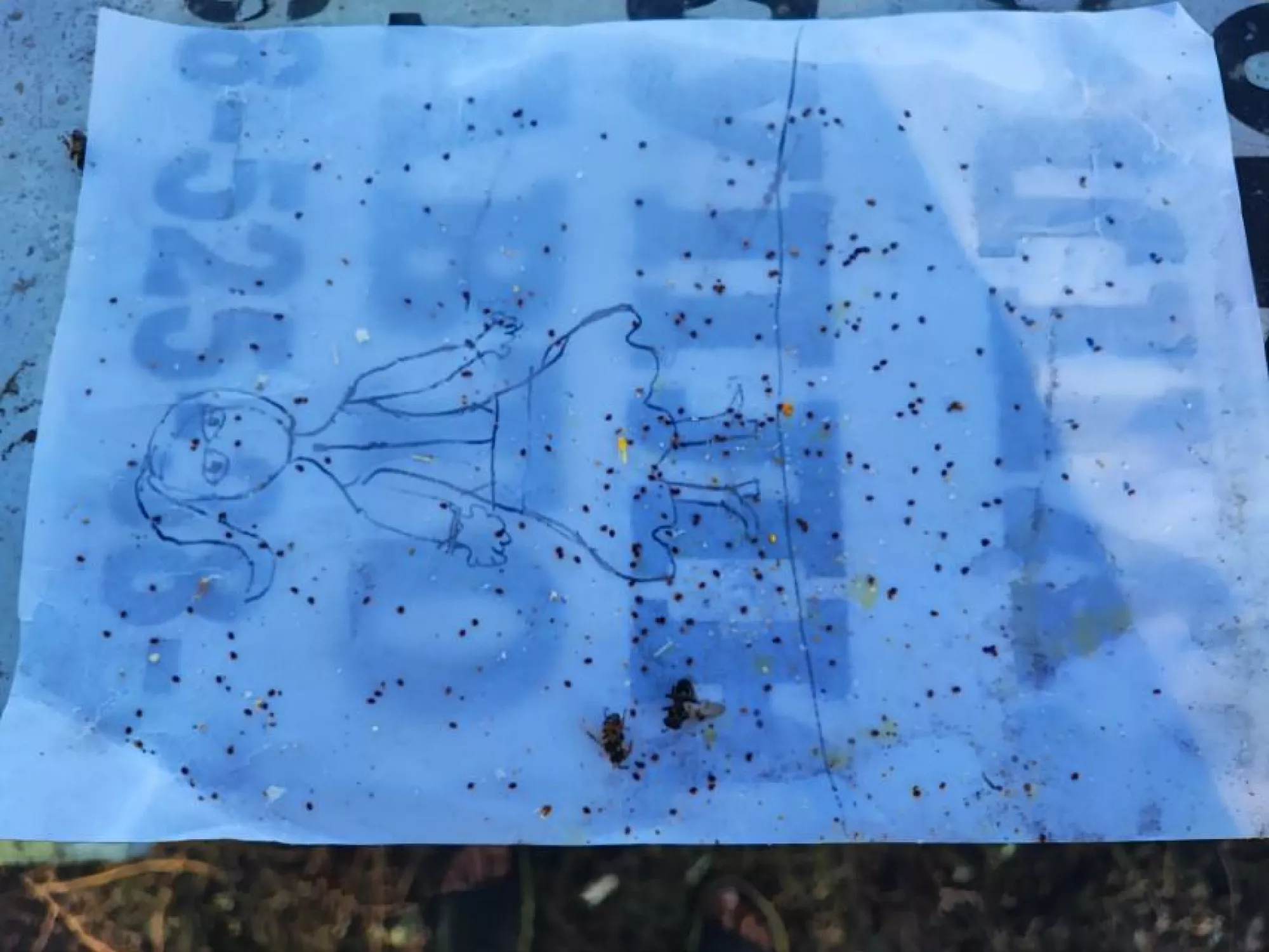 Спрей від Варроа та Тропієлапсиса Флувалінат BeeSong 350ml