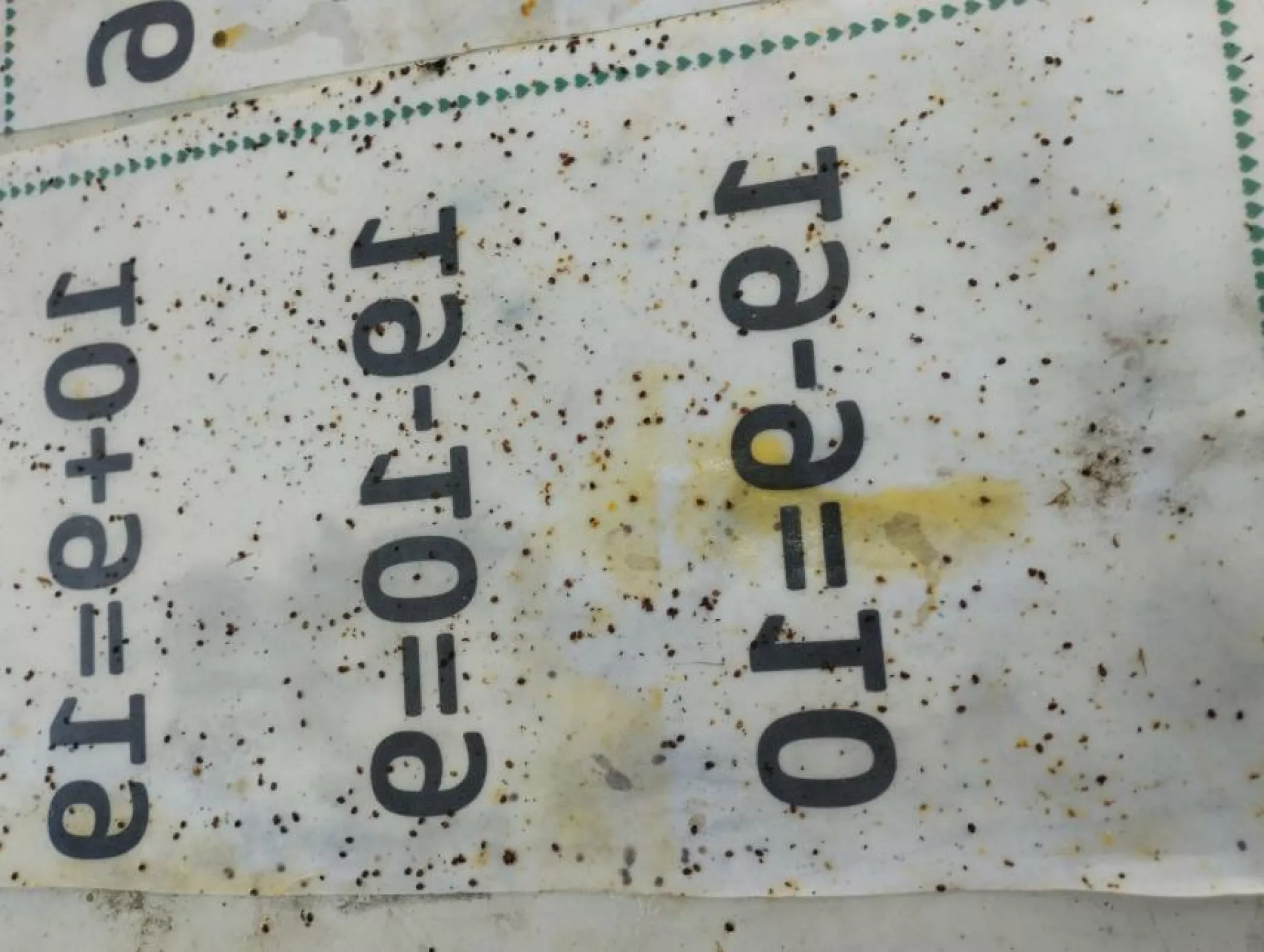 Спрей від Варроа та Тропієлапсиса Флувалінат BeeSong 350ml