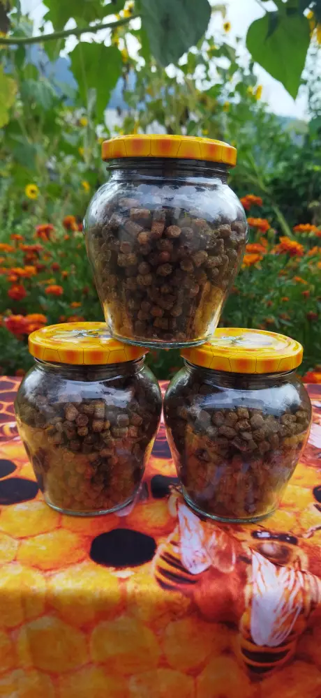 Перга очищена (бджолиний хліб)