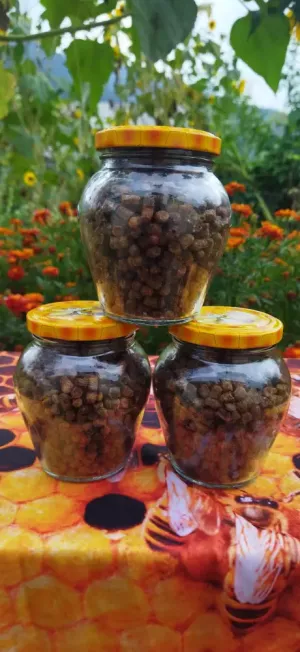 Перга очищена (бджолиний хліб)