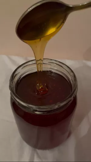Лісовий