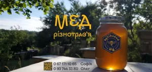 Мед натуральний з пасіки під лісом без полів та хімії