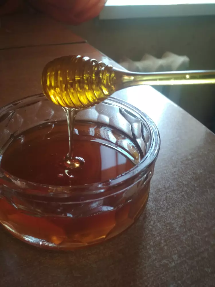 Мед різнотравя (золотарник) серпень 2024