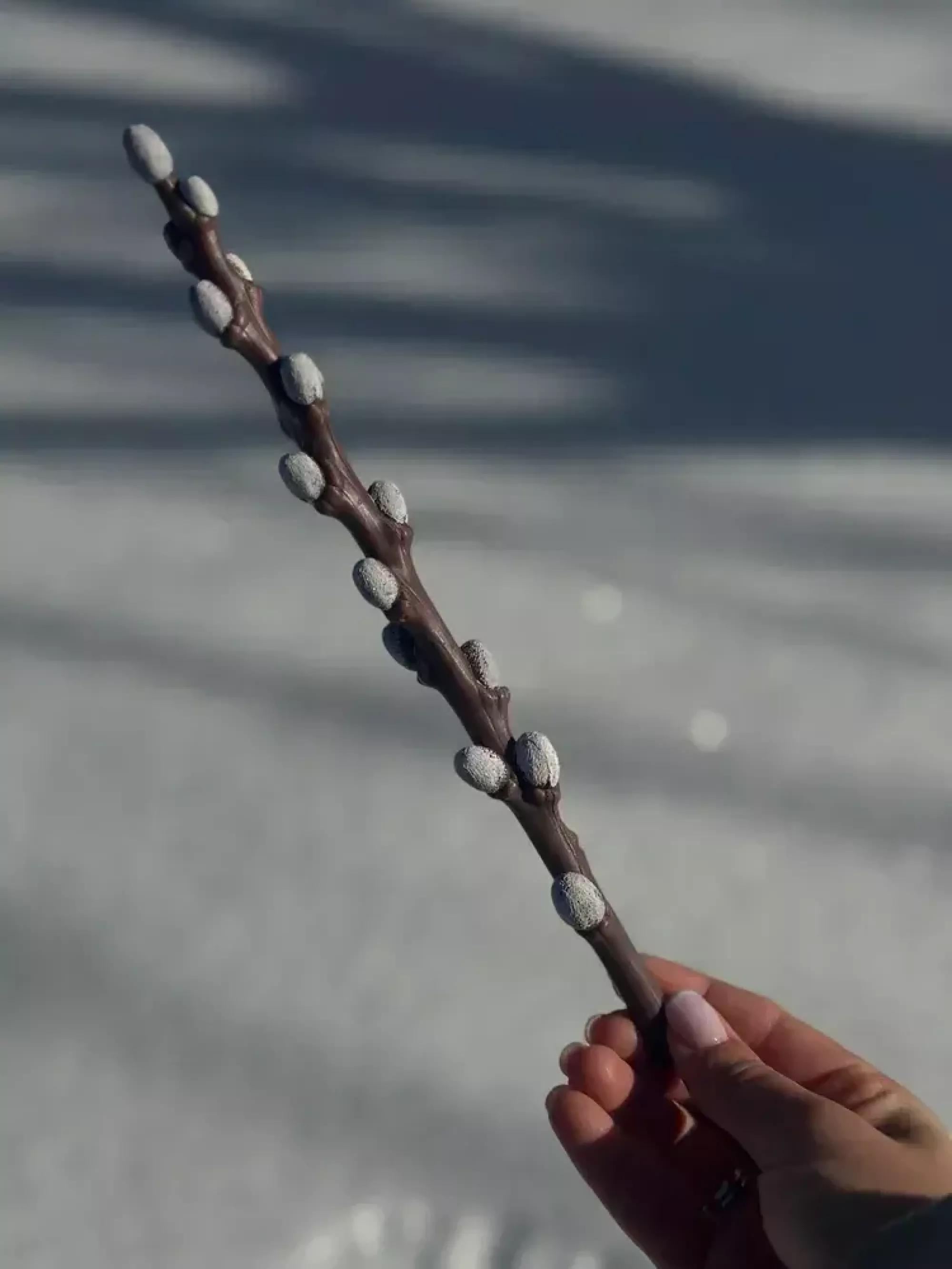 Свічка вербова гілочка 25 см під замовлення