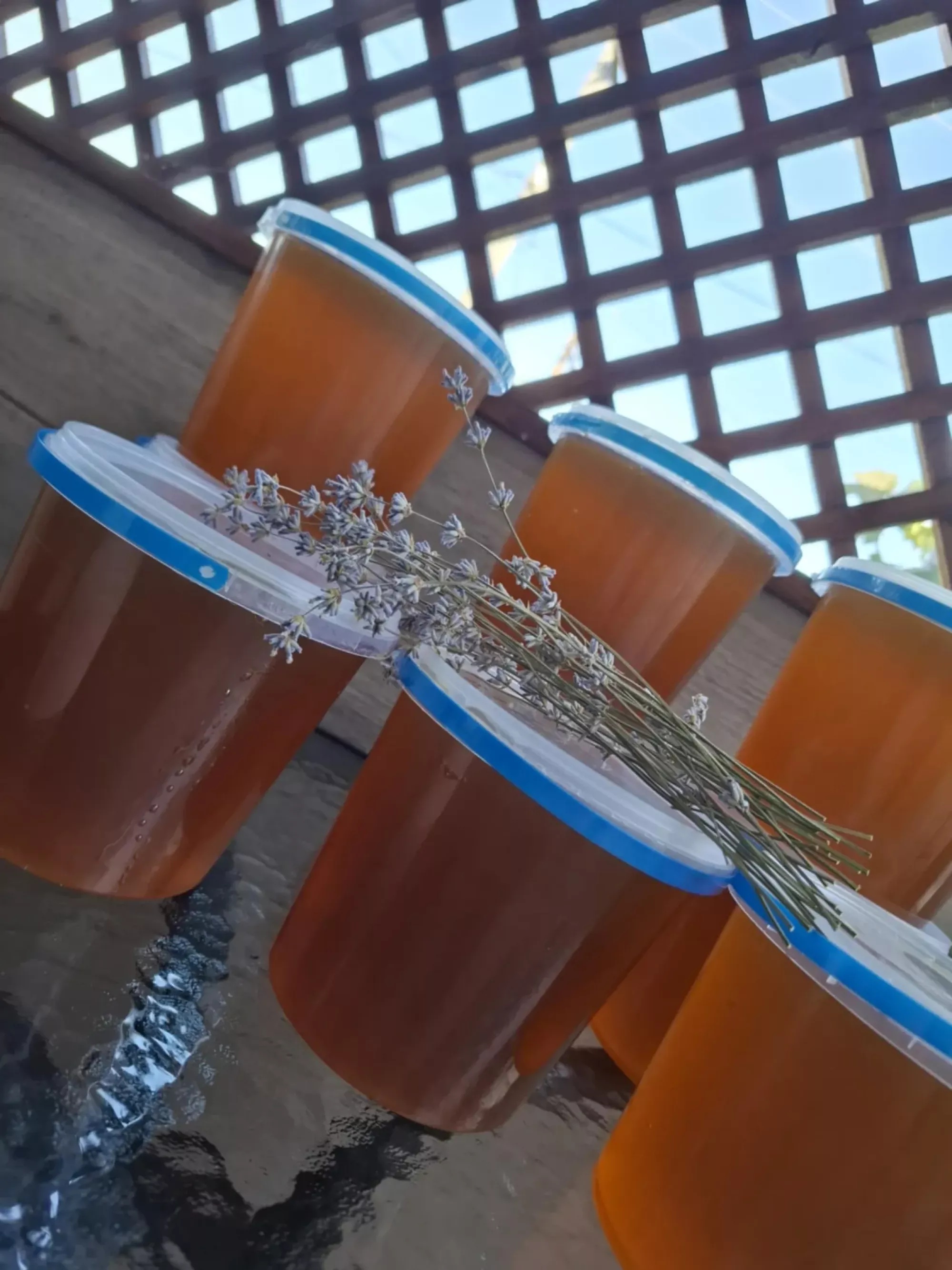 Натуральний лісовий мед