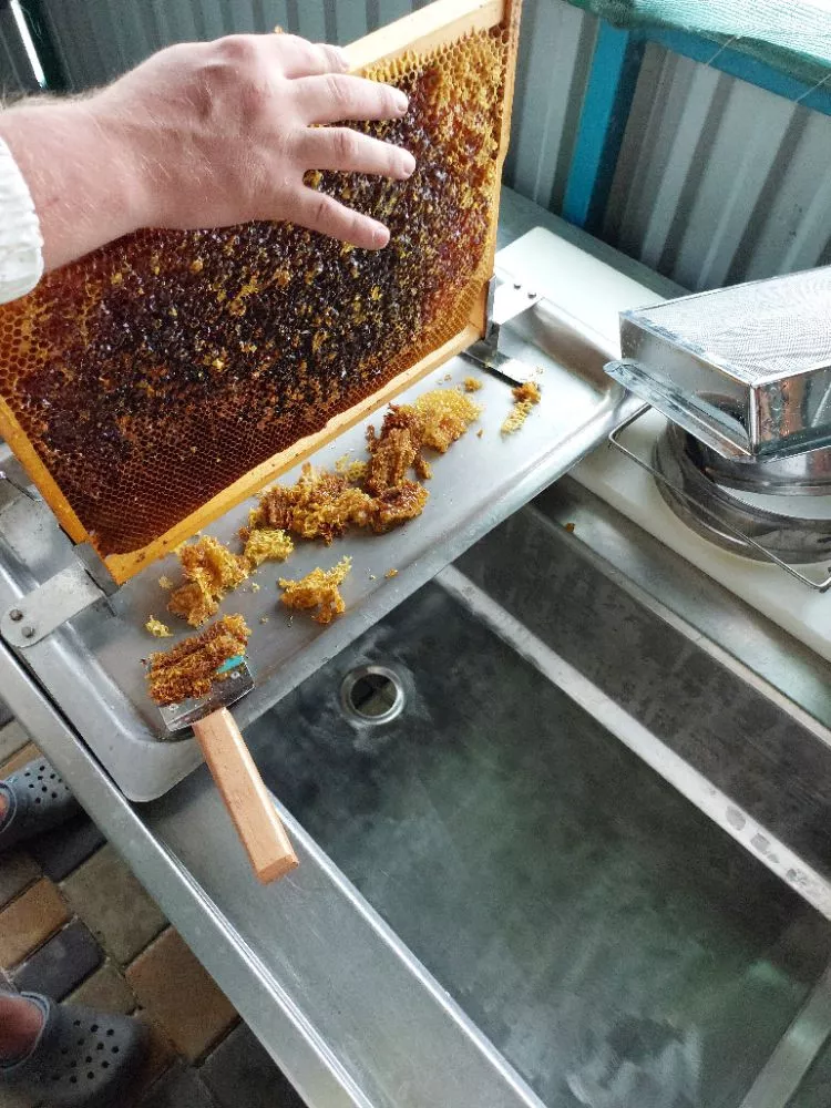 Мед різнотрав'я