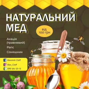 🍯 ріпак