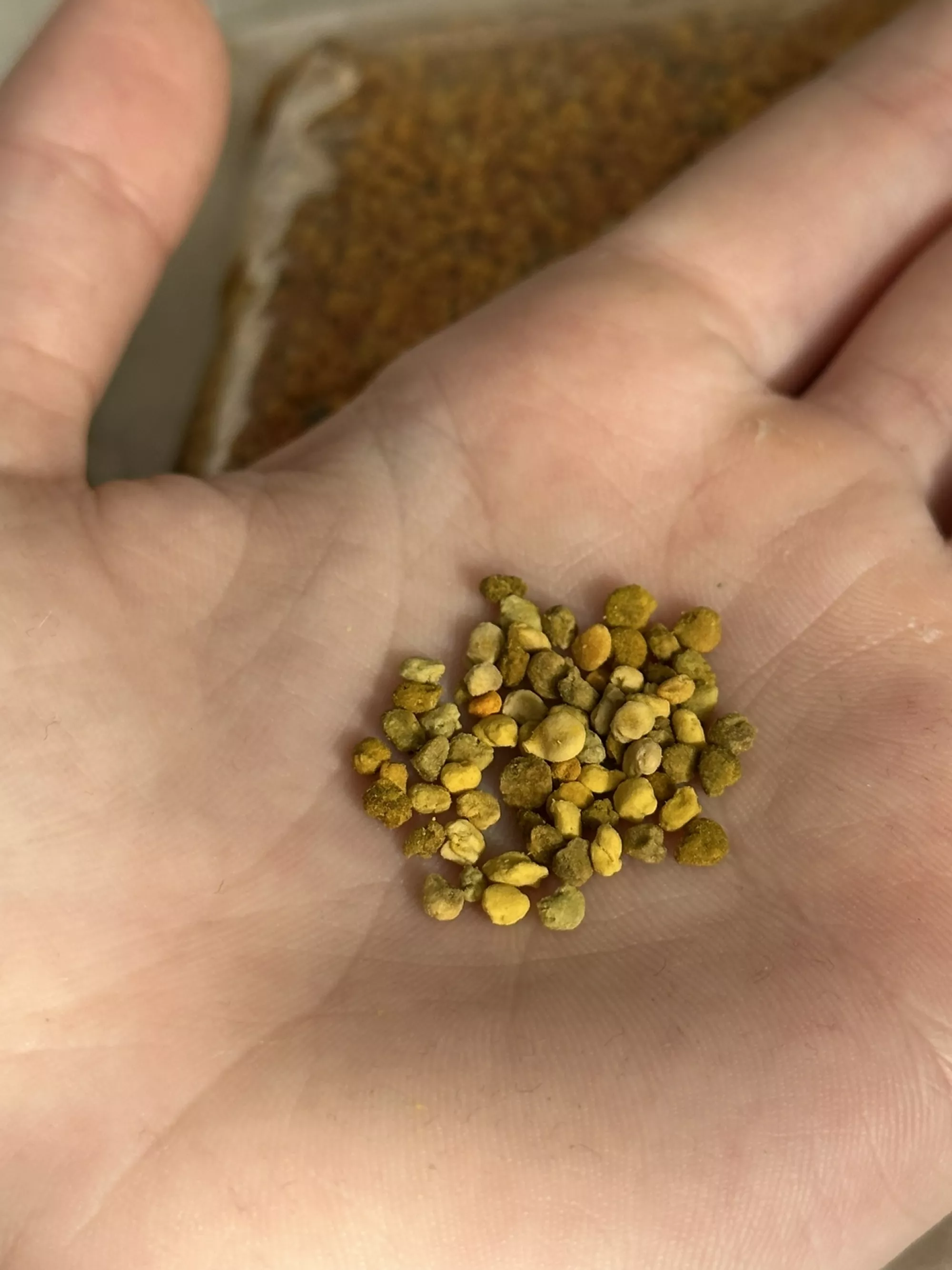 Бджолиний пилок 1 кг