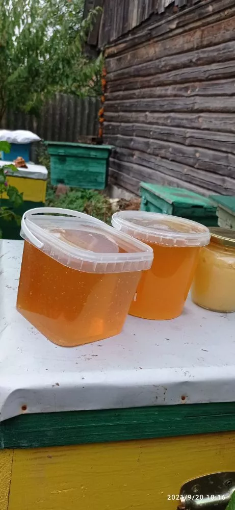 мед з різнотрав'я