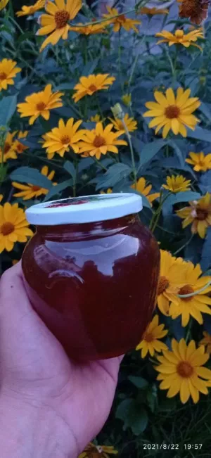 Мед гречаний