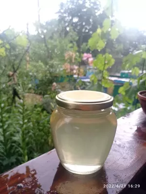 Мед акацієвий