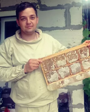 Мед в сотах