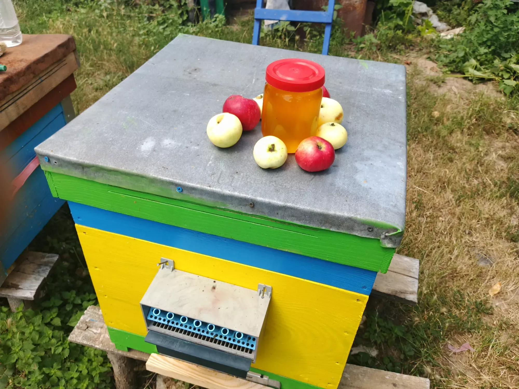 Мед натуральний з власної пасіки