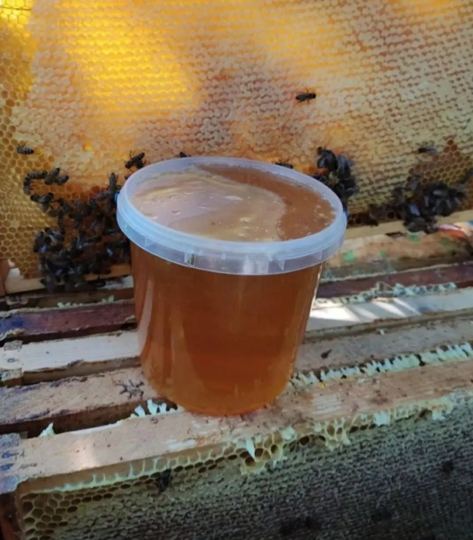 Мед лісовий (різнотрав'я)