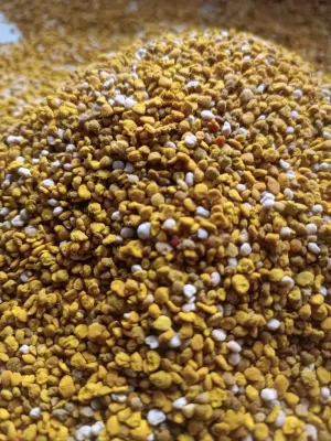 Пилок бджолиний