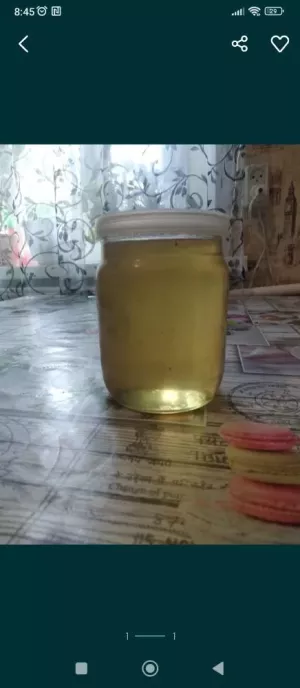 Соняшниковий мед 🍯🍯🍯